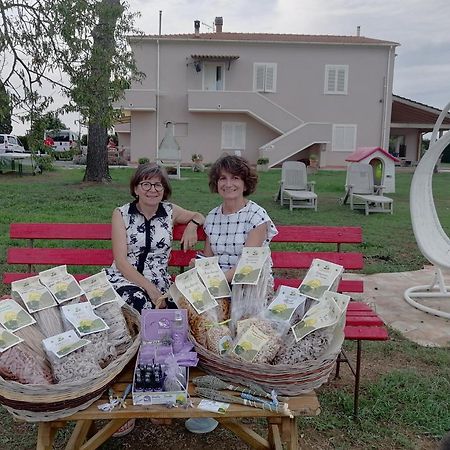 Agriturismo Susanna E Atria Біббона Екстер'єр фото