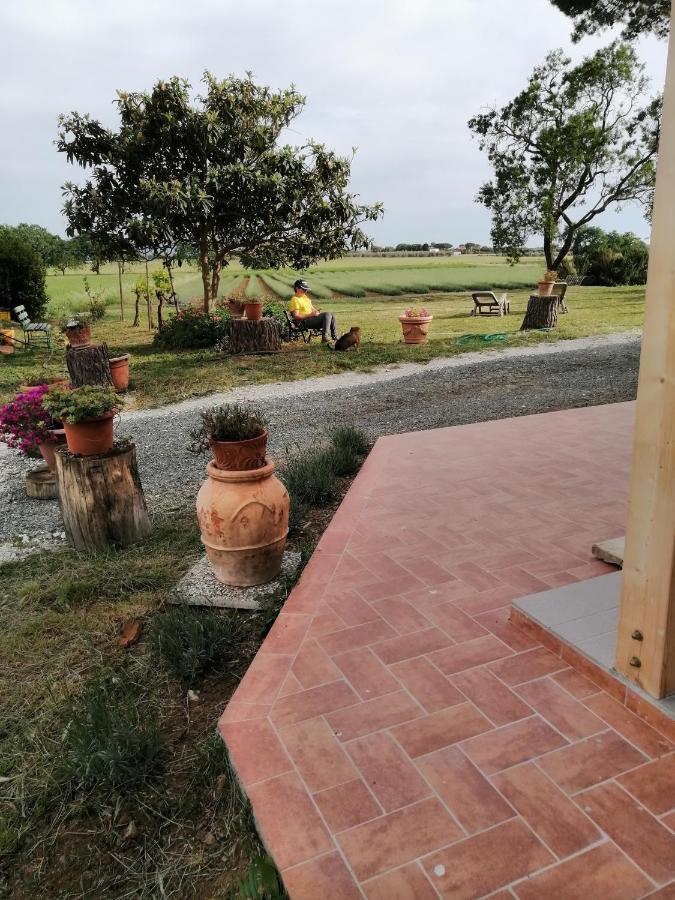 Agriturismo Susanna E Atria Біббона Екстер'єр фото